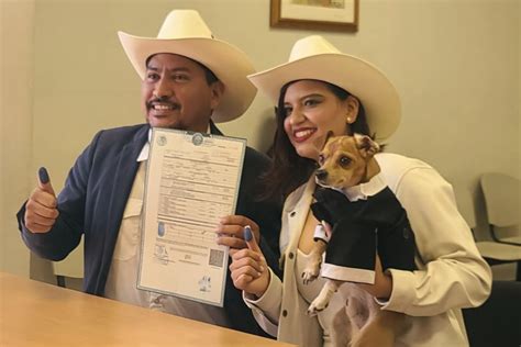 Perrito Chihuahua Es Testigo De La Boda De Sus Dueños Y Se Vuelve Viral El Momento Quintana Roo