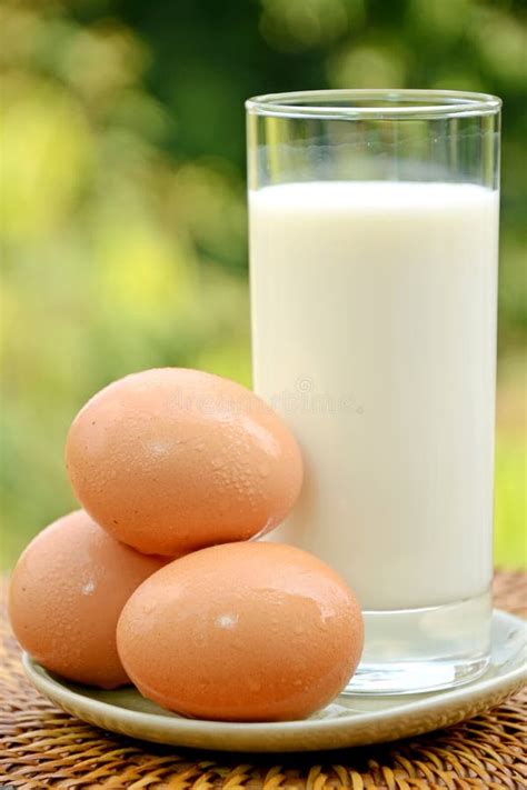 Fresh Milk And Eggs Stock Image Image Of Cooking Milk 37699255