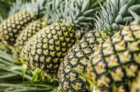 Frutas de Exportación ECUADOR