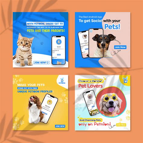 PET SOCIAL MEDIA POST DESIGN 3 Images Behance