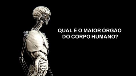 Maior Orgao Do Ser Humano - QUAL O MAIOR ÓRGÃO DO CORPO HUMANO? - PROFE JU - YouTube