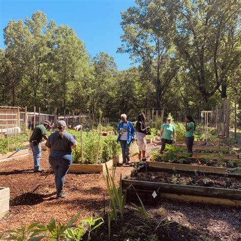community garden urban community agrinomics ucan