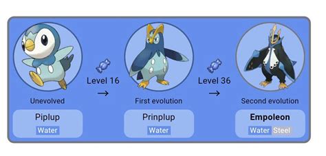 Empoleon Pokémon Amino