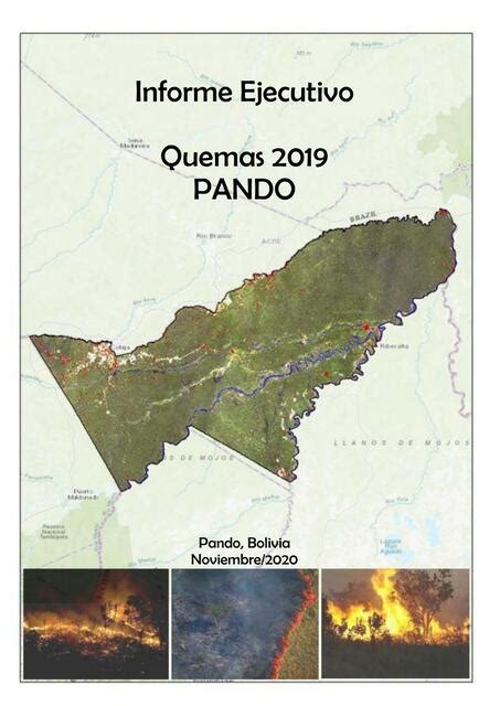 Informe Ejecutivo Quemas Pando Cultura Global UDocz