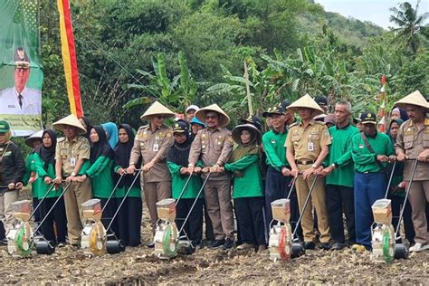 Persen Kedelai Masih Impor Menteri Pertanian Dorong Petani Tanam