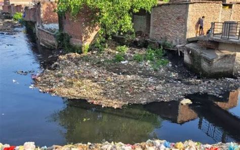 IIT-Roorkee to clean Kalyani River in Rudrapur