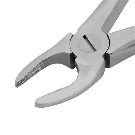 Dental Extraction Forceps - Eickemeyer Veterinary Technology