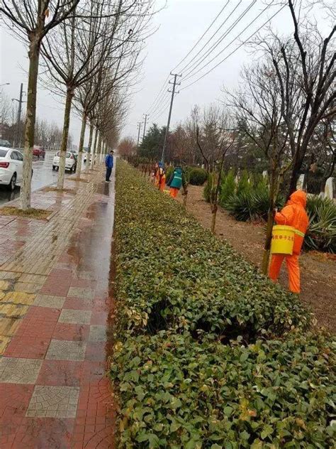 區市動態｜抓住雨天有利時機 做好春季綠化施肥工作 每日頭條