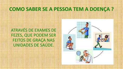 Esquistossomose Ppt