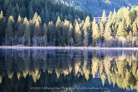 Minnekhada Park Minnekhada Park Lake Winter Afternoon Anthony Maw