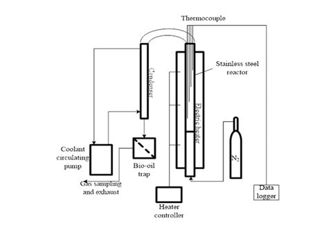 Schematic Diagram Of A Lab Scale Pyrolysis Reactor Download Scientific Diagram