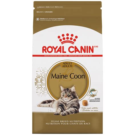 Maine Coon Adult Dry Cat Food Royal Canin Us