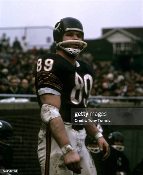 896 Mike Ditka Photos & High Res Pictures - Getty Images