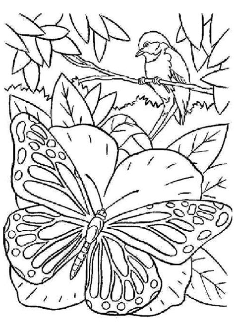 Page Sur Sur Hugolescargot Coloriage Papillon Coloriage