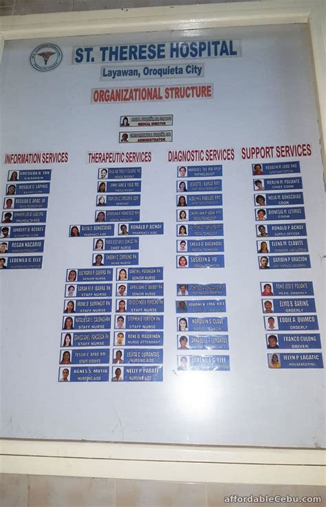 10+ Design Hospital Organization Chart Template – Repli Counts Template ...