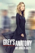 Grey S Anatomy Staffel 20