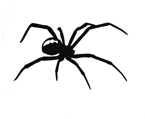 Best Decals For Your Cars Black Widow Spider