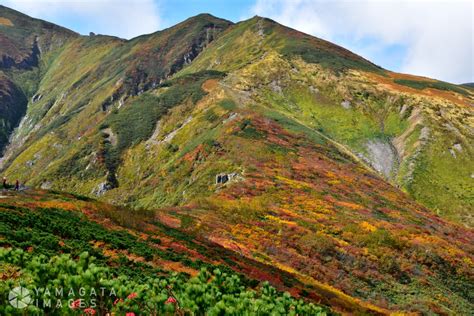 紅葉の大朝日岳 朝日町 ヤマガタイメージズ 山形を旅するように楽しむストックフォトサービス