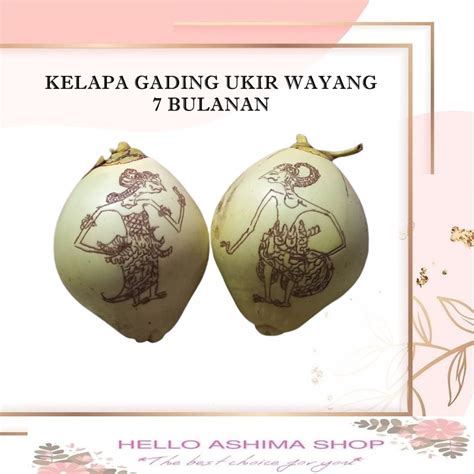 Jual Kelapa Gading Gambar Wayang Bulanan Tingkepan Shopee Indonesia