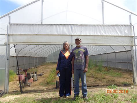 High Tunnels And Other Season Extension Techniques Alabama