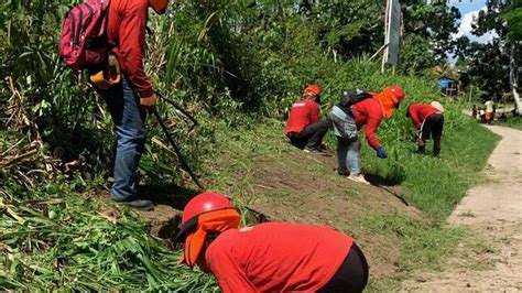 Culmina Con Xito Programa Lurawi Per Que Benefici A Familias