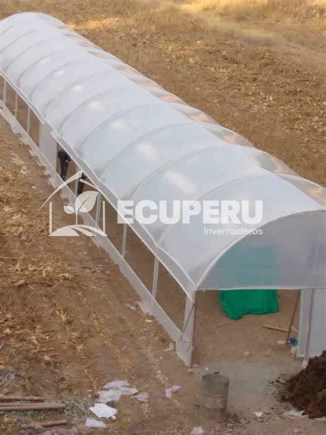 Invernadero Tipo Tunel Invernaderos Peru Ecuador Viveros