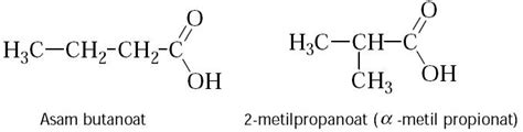 Pintar Pelajaran Pengertian Ester Sifat Kegunaan Isomer Dampak