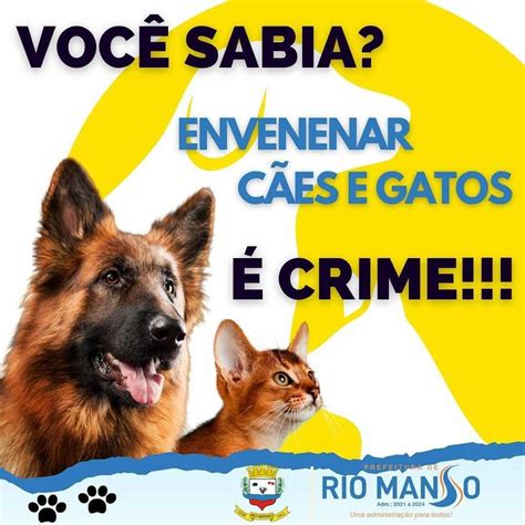 Prefeitura Municipal De Rio Manso Como Denunciar Maus Tratos A Animais