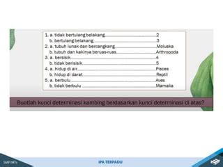 IPA Kelas 7 Bab 2 Klasifikasi Makhluk Hidup Pptx