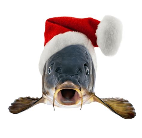 21 Bass Fish Santa Hat Royalty-Free Images, Stock Photos & Pictures | Shutterstock