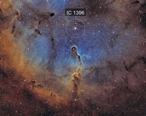 Elephant S Trunk Nebula IC1396 Theodore Arampatzoglou AstroBin