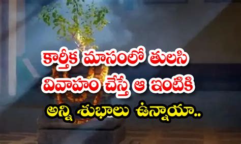 Tulsi Kartikamasam కరతక మసల తలస వవహ చసత ఆ ఇటక అనన