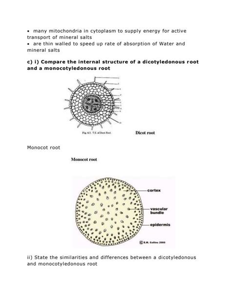 Form 2 Biology Questions And Answers 1388