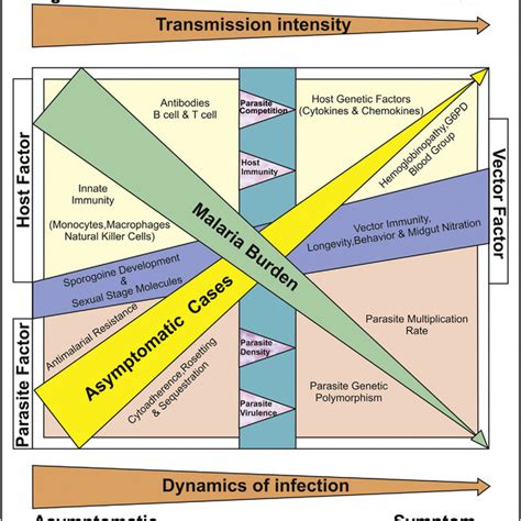 Describing The Association Of Host Parasite And Vector With Low