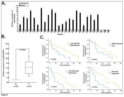 A Upregulation And Downregulation Of MiR 650 Expression QRT PCR For