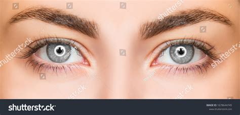 37,682 White eye ring Images, Stock Photos & Vectors | Shutterstock