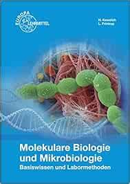 Molekulare Biologie Und Mikrobiologie Basiswissen Und Labormethoden