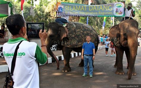 5 Kandang Binatang Favorit Wisatawan Di Ragunan Okezone Travel