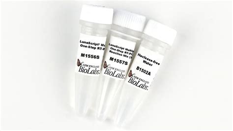 New England Biolabs Inc Lunascript Multiplex One Step Rt Pcr Kit