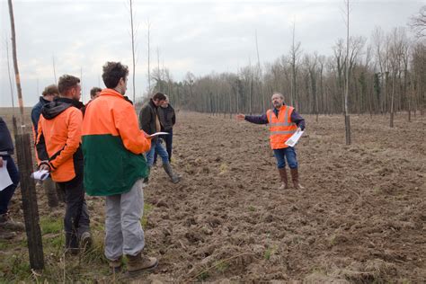 Fibois Grand Est Journée de convivialité du projet PIF