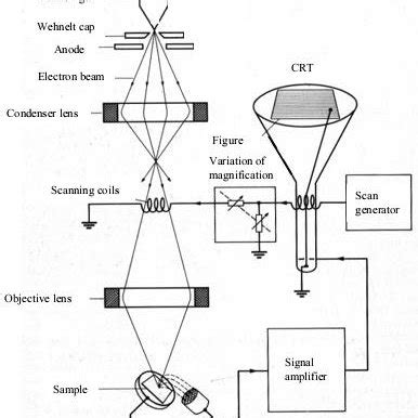 A schematic diagram of an SEM [7]. | Download Scientific Diagram