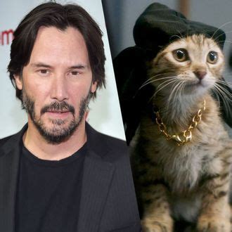 Keanu Reeves Voices Keanu the Cat in the Movie Keanu; That’s 3 Things ...