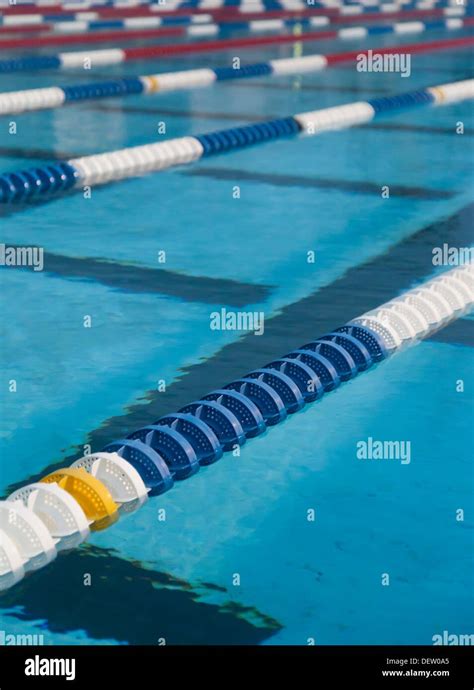 Lanes in large swimming pool Stock Photo - Alamy