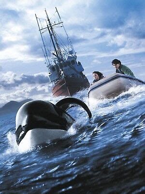 Free Willy 4 Poster