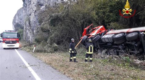 Belluno Tir Investe Cervo Morto Il Camionista Nell Incidente