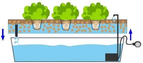 Hidropon A Para El Cultivo De Cannabis Hanna Instruments Colombia