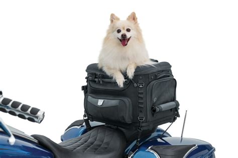 Transportines Mochilas Y Bolsos Para Llevar Perros En Moto