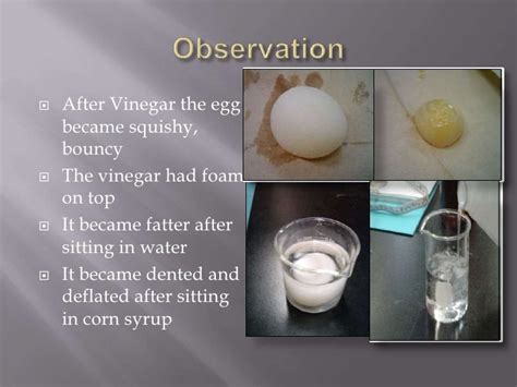 Alex's Egg osmosis Experiment