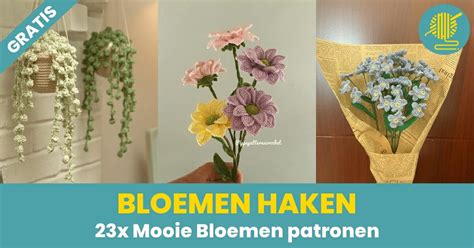 Bloemen Haken Leukste X Haakpatronen Gratis Handwerkpagina