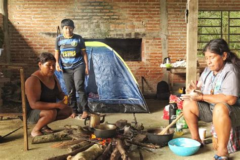 Povo Guarani Mbyá retoma território ancestral Tekoá Direitos Humanos